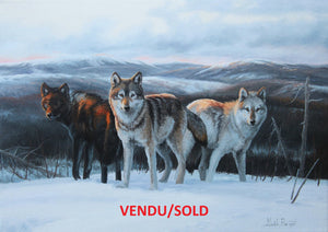 Tableau original de Monique Benoit peintre animalière et naturaliste, huile sur toile, scène de la faune canadienne, galerie d’art, Centre Monique et Gisèle Benoit, Sainte-Anne-des-Monts, Gaspésie, art animalier, musée, exposition, peintures, cadres. Loups gris, scène d'hiver, prédateurs.