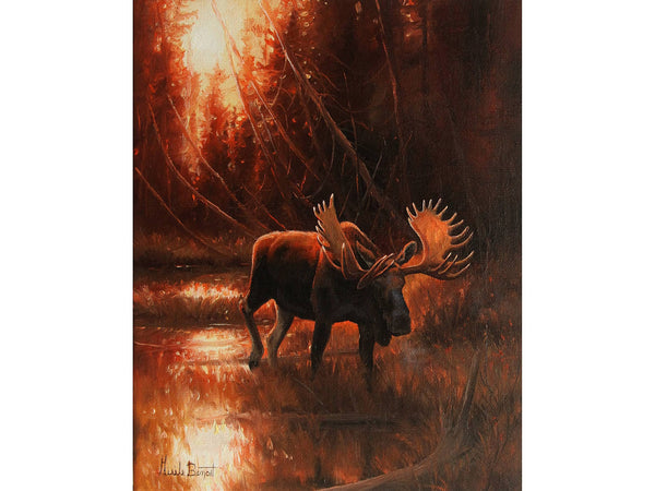 Le géant de la rivière Missinaibi – Orignal mâle