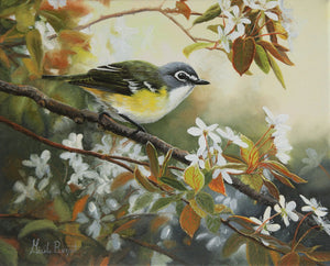 Tableau original de Gisèle Benoit peintre animalière et naturaliste, huile sur toile, scène de la faune canadienne, galerie d’art, Centre Monique et Gisèle Benoit, Sainte-Anne-des-Monts, Gaspésie, art animalier, musée, exposition, peintures, cadres. Viréo à tête bleue , oiseaux, scène de printemps.