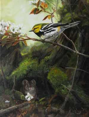 Carte de souhait sans texte, enveloppe incluse, collection de cartes des œuvres de Gisèle Benoit, peintre animalière et naturaliste, Centre d’art Monique et Gisèle Benoit, Sainte-Anne-des-Monts, Gaspésie, art animalier. Paruline verte à gorge noire, oiseau, fleurs sauvages, scène de printemps, rongeur.