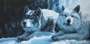 Giclée sur toile, reproduction haut de gamme de l’œuvre originale de Gisèle Benoit peintre animalière et naturaliste, galerie d’art, Centre Monique et Gisèle Benoit, Sainte-Anne-des-Monts, Gaspésie, art animalier, musée, exposition, peintures, cadres. Loups gris, prédateurs, scène d'hiver.