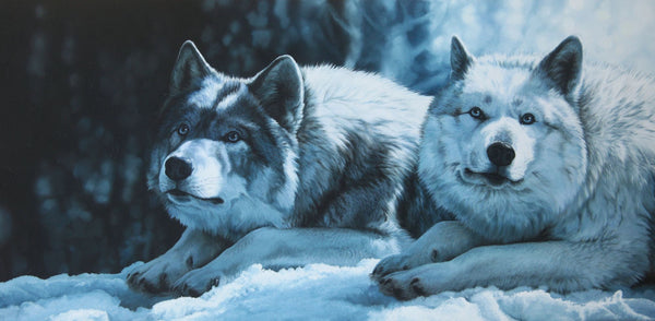 Giclée sur toile, reproduction haut de gamme de l’œuvre originale de Gisèle Benoit peintre animalière et naturaliste, galerie d’art, Centre Monique et Gisèle Benoit, Sainte-Anne-des-Monts, Gaspésie, art animalier, musée, exposition, peintures, cadres. Loups gris, prédateurs, scène d'hiver.