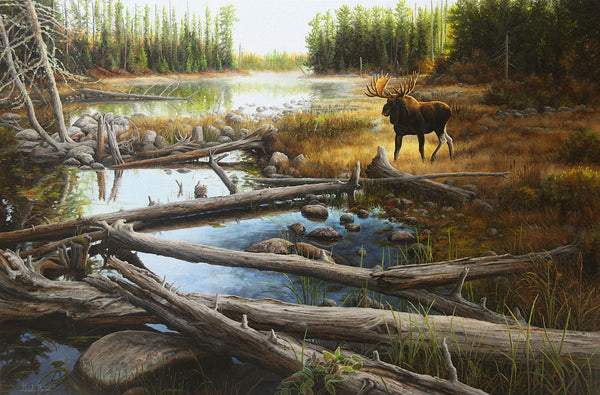 Tableau original de Gisèle Benoit peintre animalière,naturaliste, huile sur toile, scène de la faune canadienne, galerie d’art, Centre Monique et Gisèle Benoit, Sainte-Anne-des-Monts, Gaspésie, art animalier, musée, exposition, peintures, cadres. Orignal, cervidé, scène d'été, paysage.