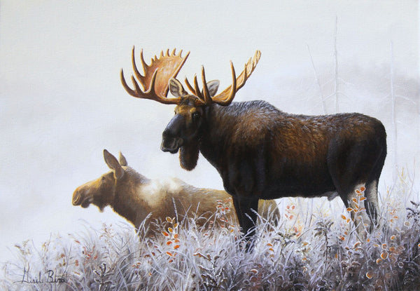 Moose – Pair in Hoarfrost