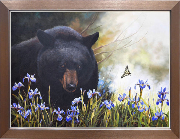 The Philosopher Bear at the Irises Marsh – Black Bear and Canadian Tiger Swallowtail