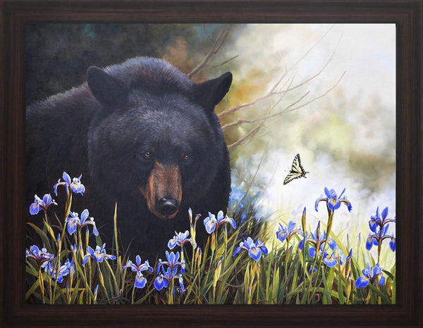 The Philosopher Bear at the Irises Marsh – Black Bear and Canadian Tiger Swallowtail