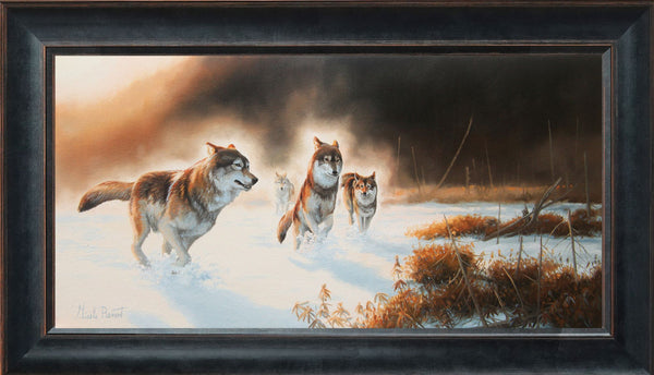 La tourbière en hiver – Loups