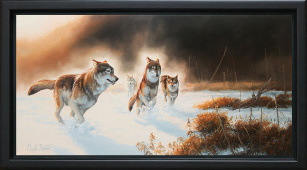 La tourbière en hiver – Loups