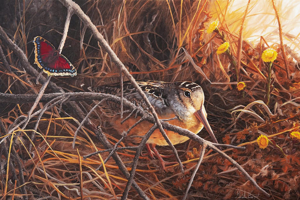Giclée sur toile, reproduction haut de gamme de l’œuvre originale de Gisèle Benoit peintre animalière et naturaliste, galerie d’art, Centre Monique et Gisèle Benoit, Sainte-Anne-des-Monts, Gaspésie, art animalier, musée, exposition, peintures, cadres. Oiseau, scène de printemps, fleurs sauvages, papillon.