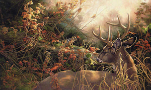 Giclée sur feuille, reproduction haut de gamme de l’œuvre originale de Monique Benoit peintre animalière, naturaliste, galerie d’art, Centre Monique et Gisèle Benoit, Sainte-Anne-des-Monts, Gaspésie, art animalier, musée, exposition, peintures, cadres. Cerf de Virginie, chevreuil, tamia rayé, rongeur, scène d'automne.