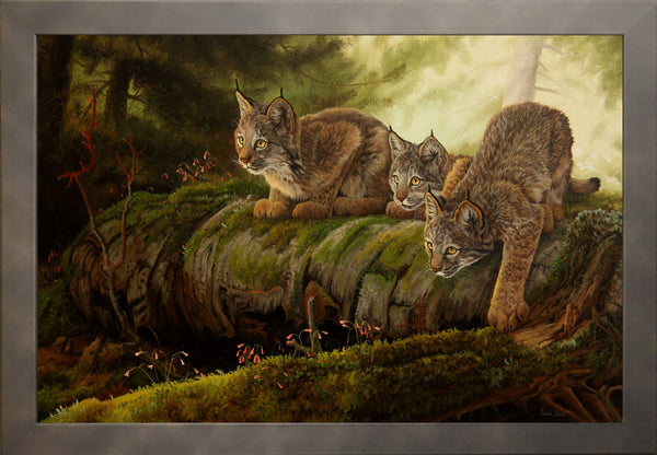 The Kittens – Canada Lynx and Twinflowers