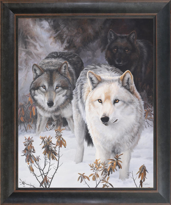 The Pathfinders – Grey Wolves