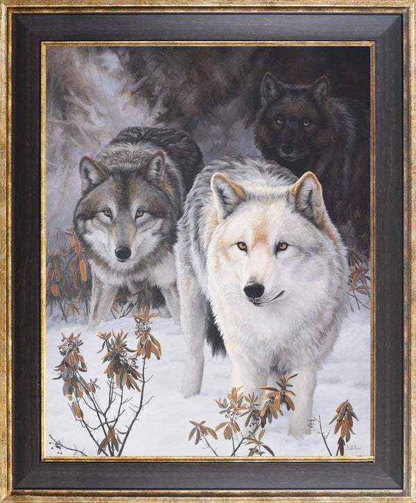 The Pathfinders – Grey Wolves