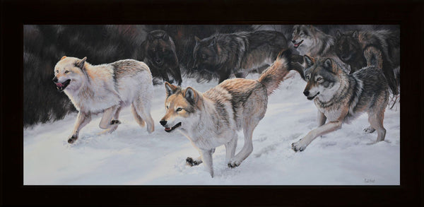 The Runaways – Grey Wolves