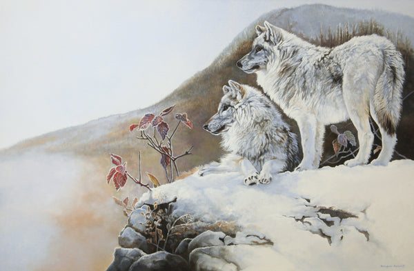 Les frères blancs – Loups gris