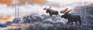 Tableau original de Gisèle Benoit peintre animalière,naturaliste, huile sur toile, scène de la faune canadienne, galerie d’art, Centre Monique et Gisèle Benoit, Sainte-Anne-des-Monts, Gaspésie, art animalier, musée, exposition, peintures, cadres. Orignaux, cervidés, scène d'automne, paysage.