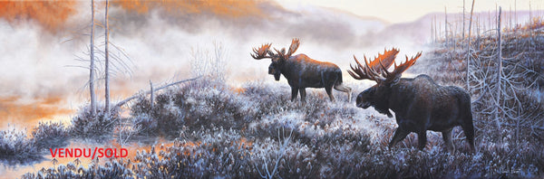 Tableau original de Gisèle Benoit peintre animalière,naturaliste, huile sur toile, scène de la faune canadienne, galerie d’art, Centre Monique et Gisèle Benoit, Sainte-Anne-des-Monts, Gaspésie, art animalier, musée, exposition, peintures, cadres. Orignaux, cervidés, scène d'automne, paysage.