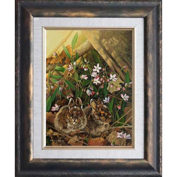 May Is Back – Snowshoe Hare Leverets