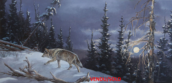 Moon Night – Canadian Wolf
