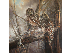 Impression sur alupanel, reproduction haut de gamme de l’œuvre originale de Monique Benoit peintre animalière et naturaliste, galerie d’art, Centre Monique et Gisèle Benoit, Sainte-Anne-des-Monts, Gaspésie, art animalier, musée, exposition, peintures, cadres. Oiseaux, scène d'automne.