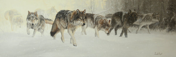 Patrouille sous la neige – Loups
