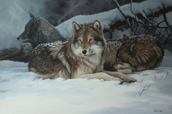 Wolves Waiting for the Night