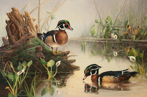 Tableau original de Monique Benoit peintre animalière,naturaliste, huile sur toile, scène de la faune canadienne, galerie d’art, Centre Monique et Gisèle Benoit, Sainte-Anne-des-Monts, Gaspésie, art animalier, musée, exposition, peintures, cadres. Canards branchus, oiseaux, fleurs sauvages, scène d'été.