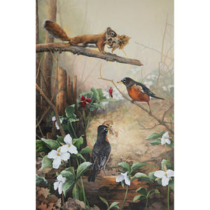 Tableau original de Monique Benoit peintre animalière,naturaliste, huile sur toile, faune canadienne, galerie d’art, Centre Monique et Gisèle Benoit, Sainte-Anne-des-Monts, Gaspésie, art animalier, musée, exposition, peintures, cadres. Merle d'Amérique, oiseaux, écureuil roux, fleurs sauvages, rongeur, scène de printemps.