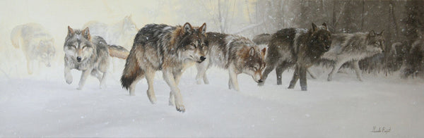 Patrouille sous la neige – Loups