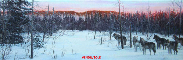 Tableau original de Gisèle Benoit peintre animalière et naturaliste, huile sur toile, scène de la faune canadienne, galerie d’art, Centre Monique et Gisèle Benoit, Sainte-Anne-des-Monts, Gaspésie, art animalier, musée, exposition, peintures, cadres. Scène d'hiver, loups, prédateurs.