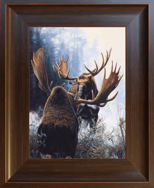 Rivalry – Bull Moose 