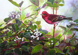 Tableau original de Gisèle Benoit peintre animalière,naturaliste, huile sur toile, scène de la faune canadienne, galerie d’art, Centre Monique et Gisèle Benoit, Sainte-Anne-des-Monts, Gaspésie, art animalier, musée, exposition, peintures, cadres. Oiseau, scène d'automne, paysage.