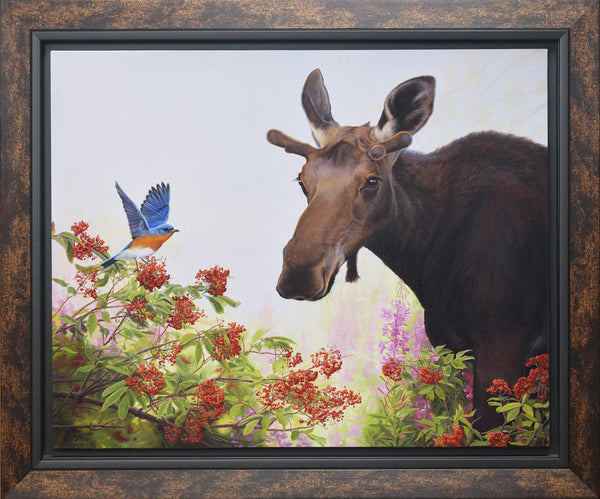 Summer Scene – Eastern Bluebird, Elderberry and Moose