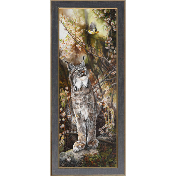 Under the Willows – Cape May Warbler and Canada Lynx