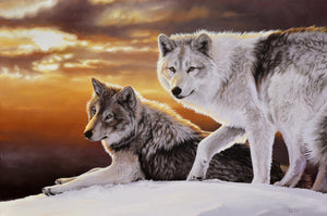 Giclée sur toile, reproduction haut de gamme de l’œuvre originale de Gisèle Benoit peintre animalière et naturaliste, galerie d’art, Centre Monique et Gisèle Benoit, Sainte-Anne-des-Monts, Gaspésie, art animalier, musée, exposition, peintures, cadres. Loups gris, prédateurs, scène d'hiver.