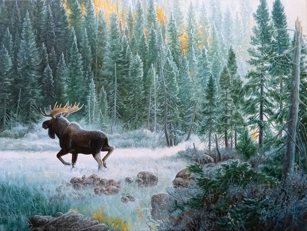 Emergency – Bull Moose in October