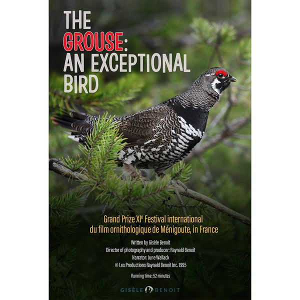 The Grouse: An Exceptional Bird