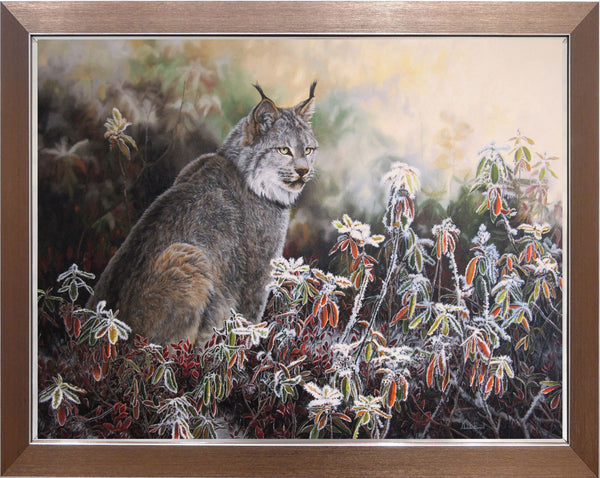 Early Morning Hoarfrost – Canada Lynx
