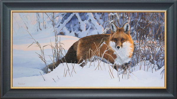 Un renard nommé Espoir