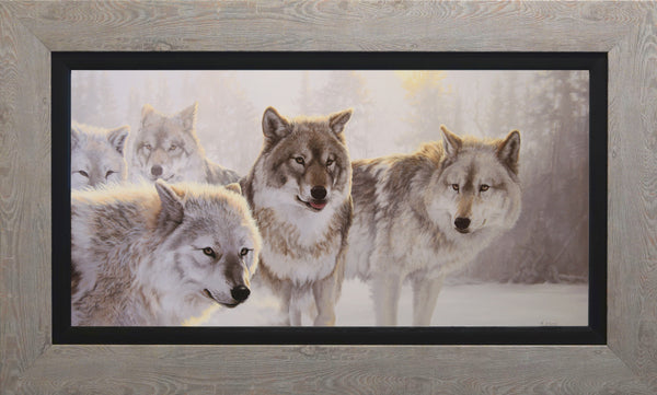 Brume hivernale – Loups gris